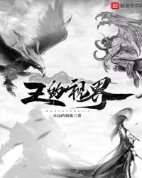 王的视界