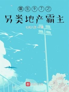《重生97之另类地产霸主》