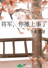 《将军,你摊上事了》
