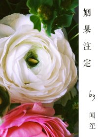 姻果注定