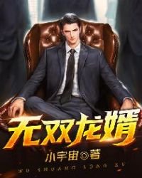 《无双龙婿》