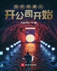《矽收能量从开公司开始》