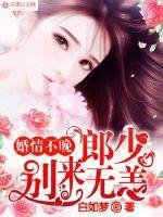 《婚情不晚:郎少别来无恙》
