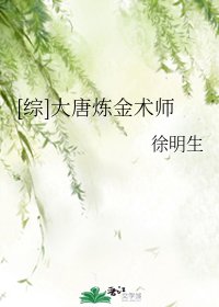 （综同人）[综]大唐炼金术师