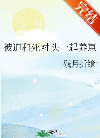 《被迫和死对头一起养崽》