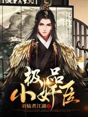 《极品小奸臣》