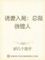 《犹妻入局:总裁很缠人》