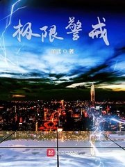 《极限警戒》