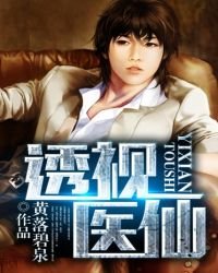 《透视医仙》