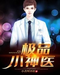极品小神医