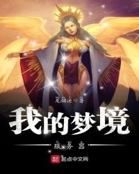 《我的梦境服务器》