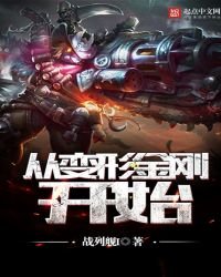 《从变形金刚开始》