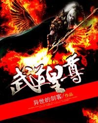 《武盗皇尊》