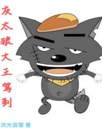 《灰太狼大王驾到》