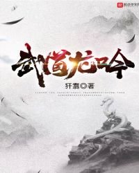 《武道龙吟》