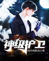 《神级护卫》