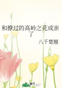 《和撩过的高岭之花成亲了》