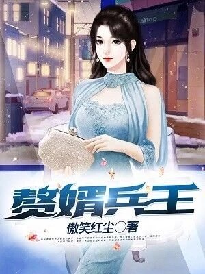 《赘婿兵王》