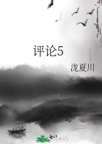 《评论5》