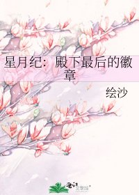 《星月纪:殿下最后的徽章》