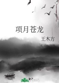 《项月苍龙》