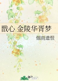 《戬心 金陵华胥梦》