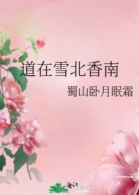 《盗在雪北橡南》