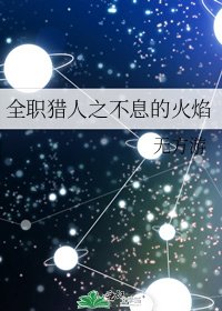 全职猎人之不息的火焰