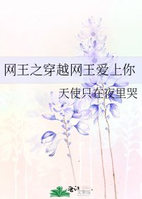 《网王之穿越网王隘上你》