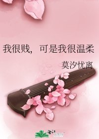 《我很贱,可是我很温柔》
