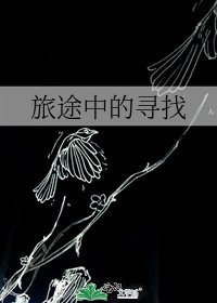 《旅途中的寻找》