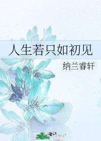 人生若只如初见