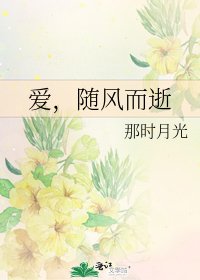 爱，随风而逝