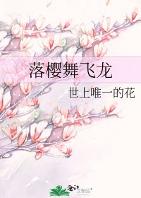 《落樱舞飞龙》