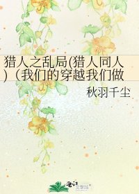 《猎人之乱局(猎人同人)(我们的穿越我们做主)》