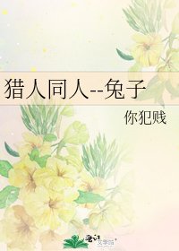 《猎人同人--兔子》