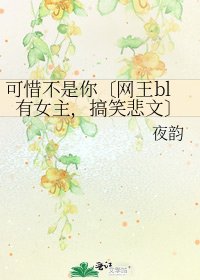 《可惜不是你〔网王bl有女主,搞笑悲文〕》