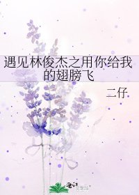 《遇见林俊杰之用你给我的翅膀飞》