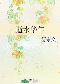 《逝水华年》