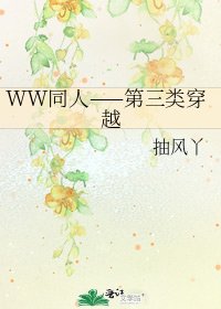 《WW同人——第三类穿越》