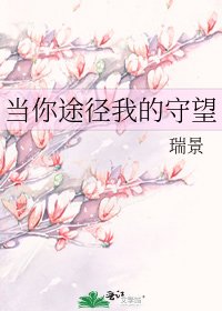 《当你途径我的守望》