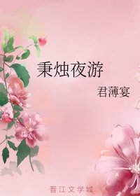 《秉烛夜游》