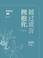 《越过谎言拥抱你》