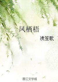 《凤栖梧》