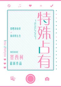 《特殊占有》