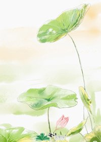 《替身王妃》