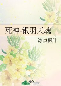 《司神-银羽天昏》