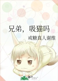 兄弟，吸猫吗