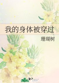 《我的身体被穿过》