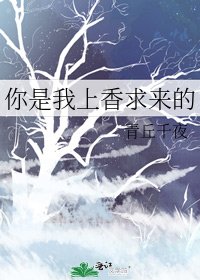 《你是我上香求来的》